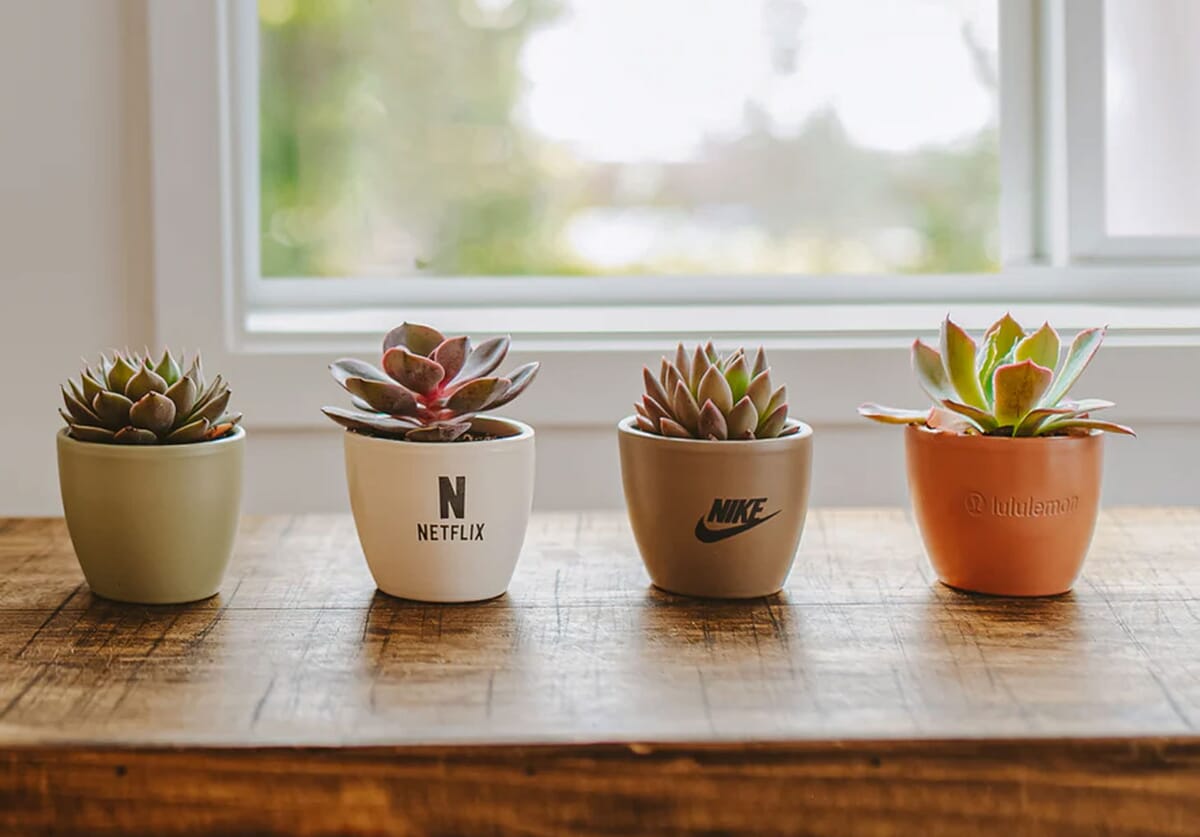 Corporate Gift Ideas for Small Teams