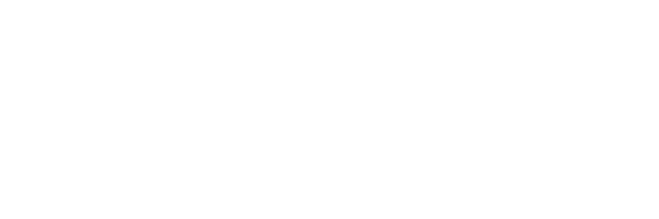 Geiger star logo