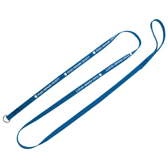 1/2" X 60" Smooth Nylon Pet Slip Leash