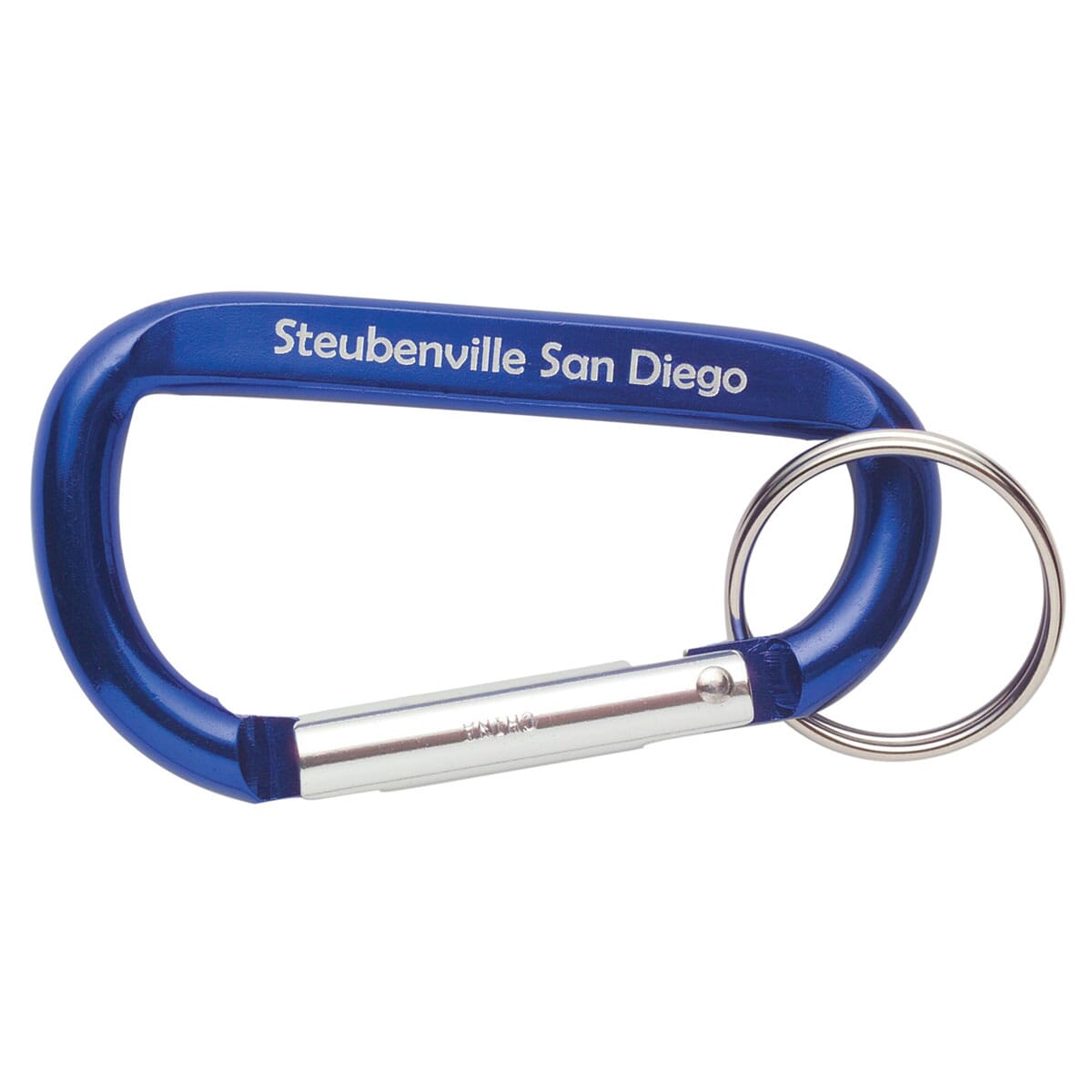 Metallic Carabiner with Keyring