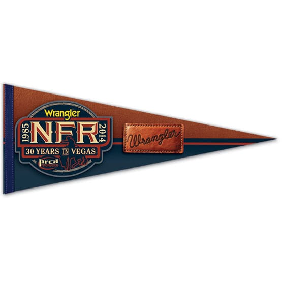 Premium Felt Pennant 12X30