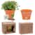 Wall Sprouts Planter Blossom Kit