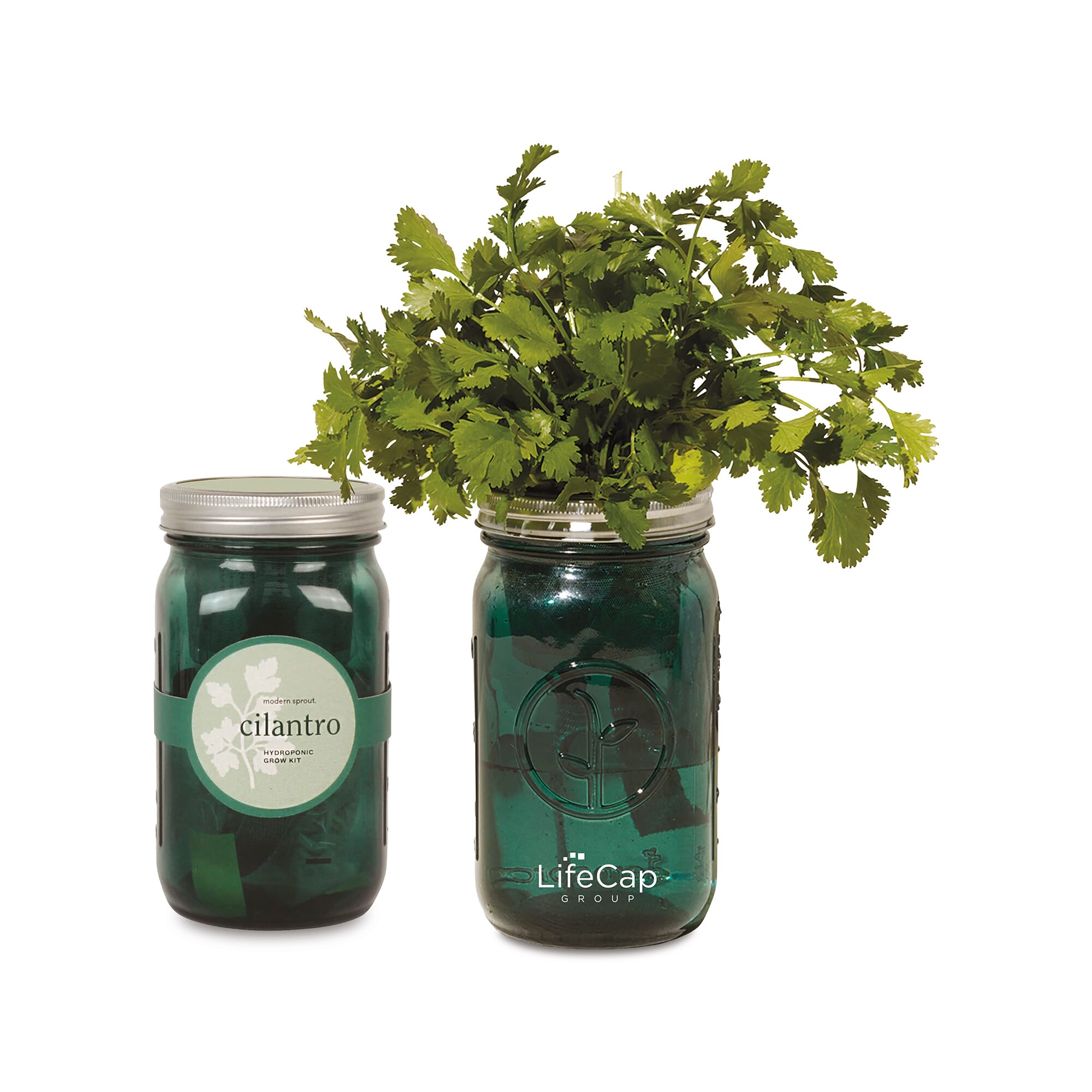 Modern Sprout garden jar