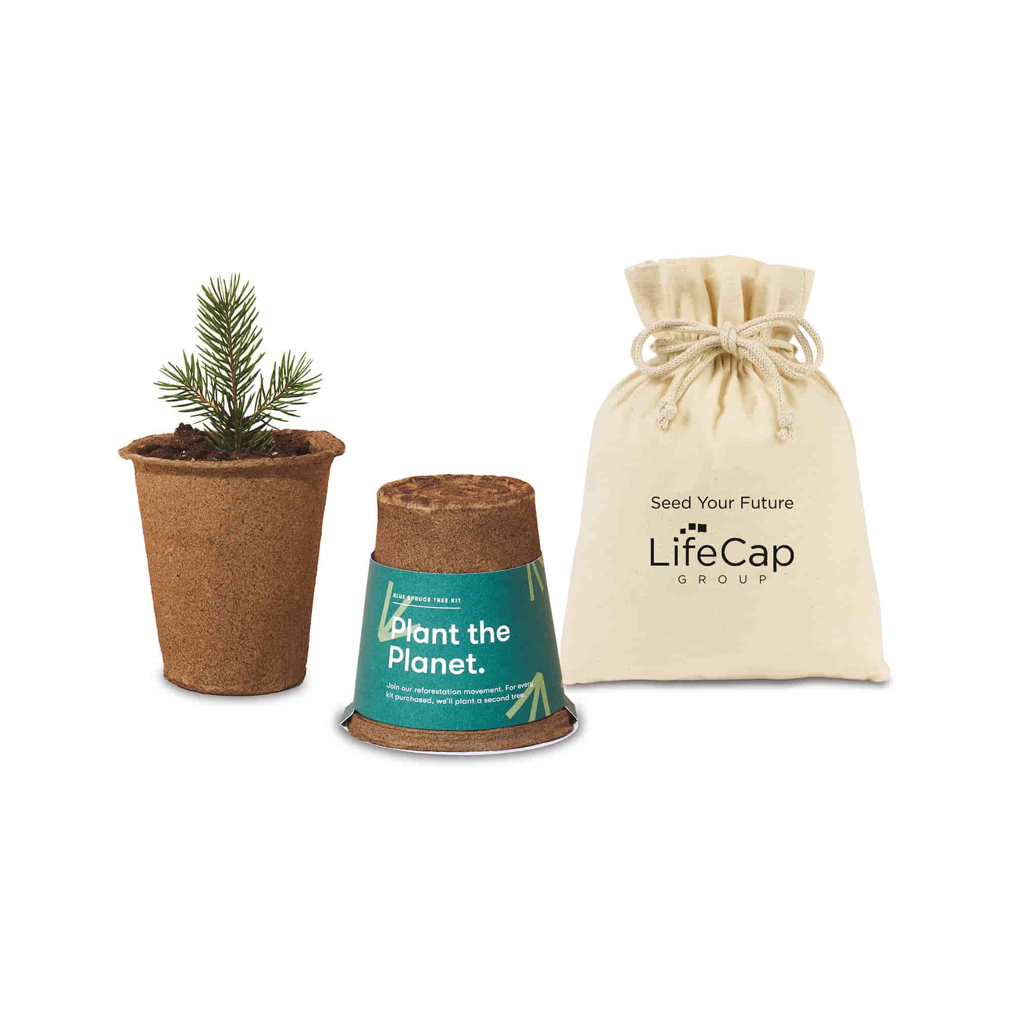 Modern Sprout® One For One Tree Kits