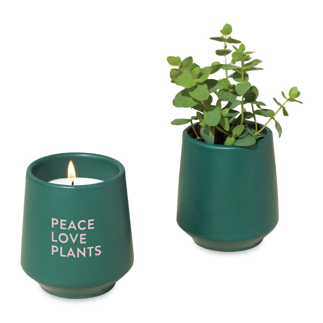Sprout® Rooted Candle