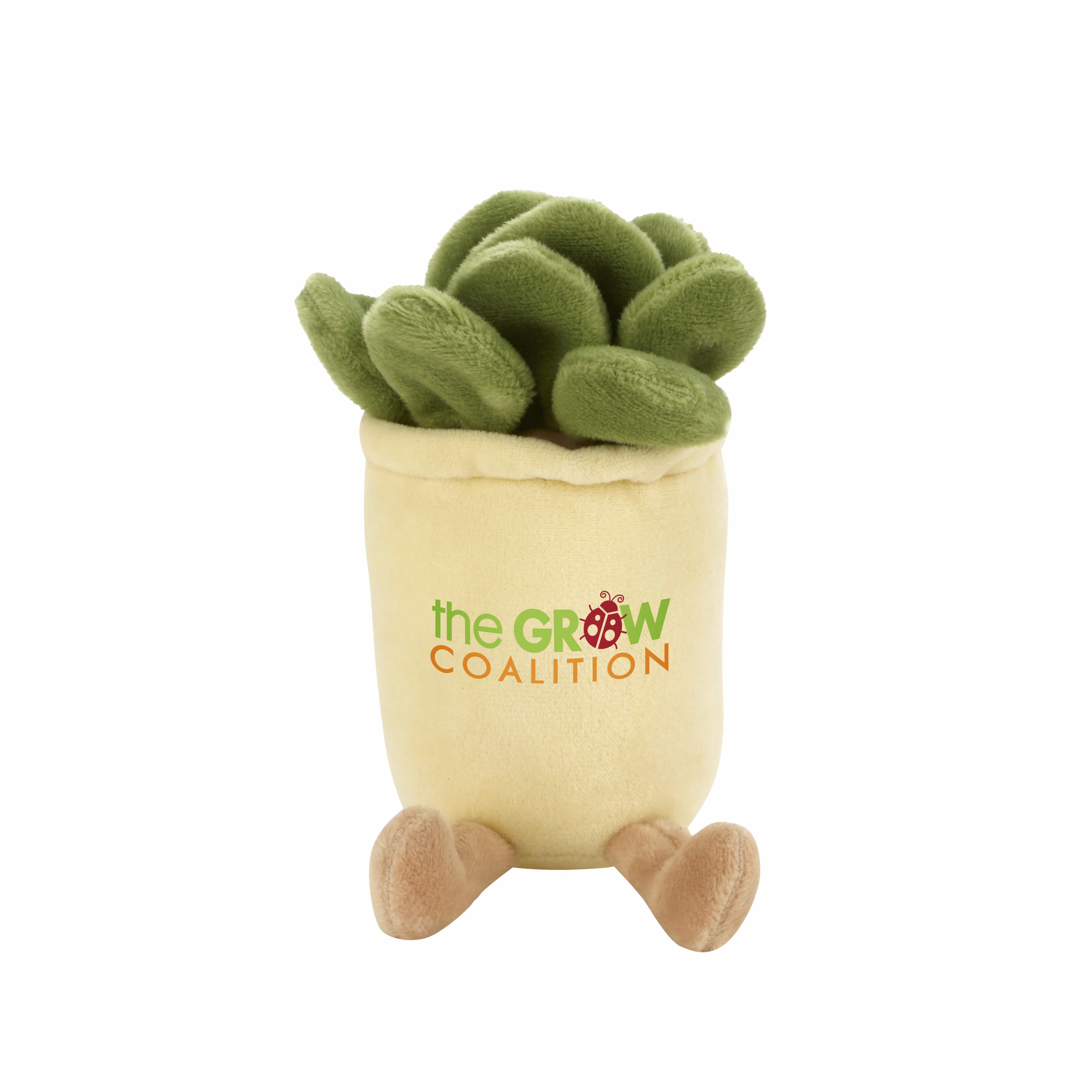 SUCCULENT
