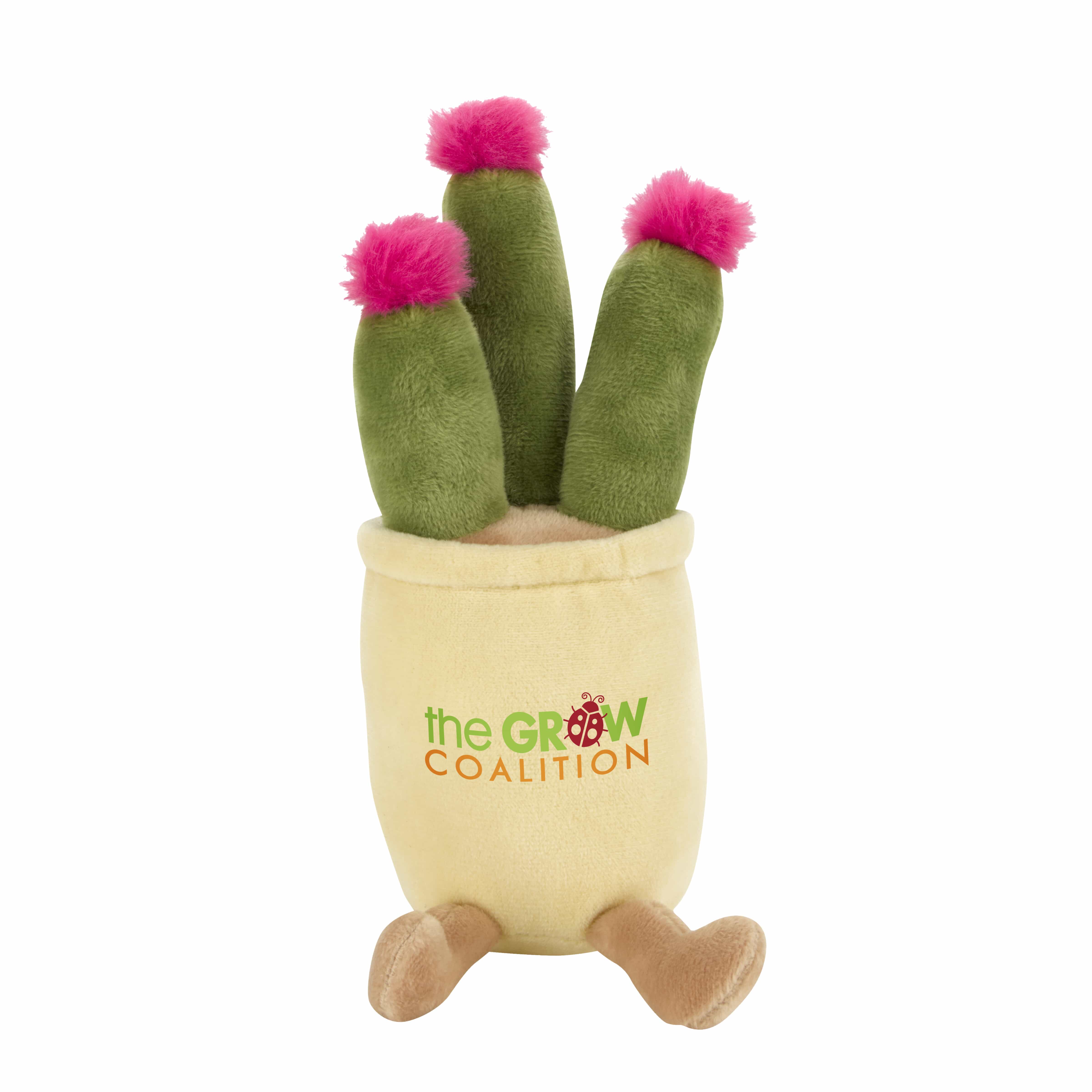 CACTUS WITH PINK BLOOM
